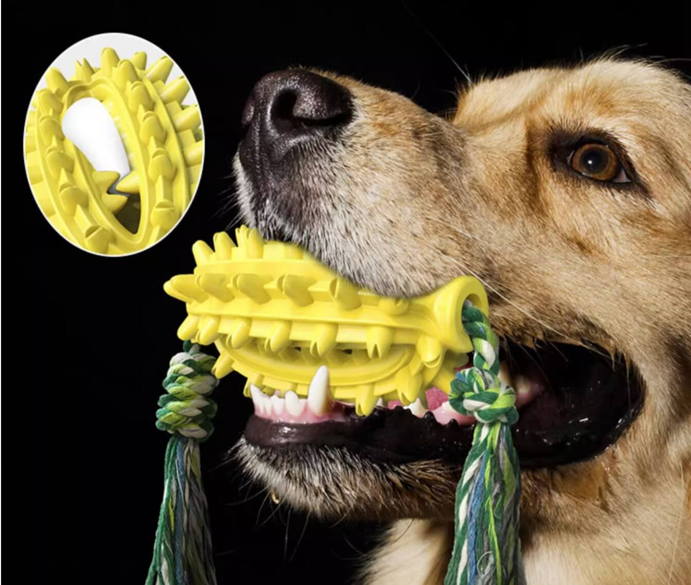 Dog Toothbrush Cactus Chew Toy for Aggressive Chewers Durable Rubber with Rope - Happy 4 Paws