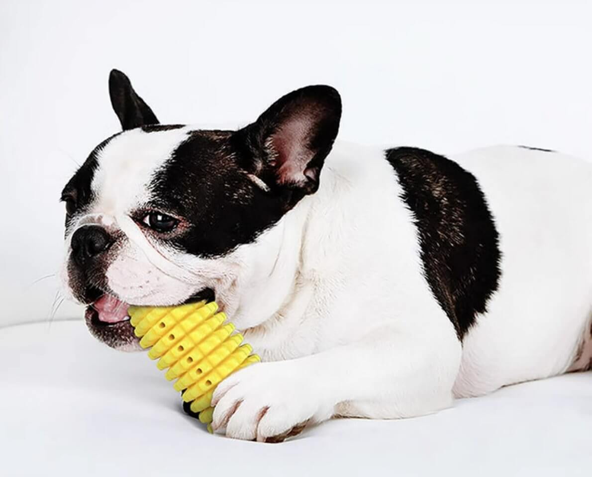 Dog Toothbrush Chew Toys Corn Molar Stick Bite - Resistant Toys with Rope - Happy 4 Paws