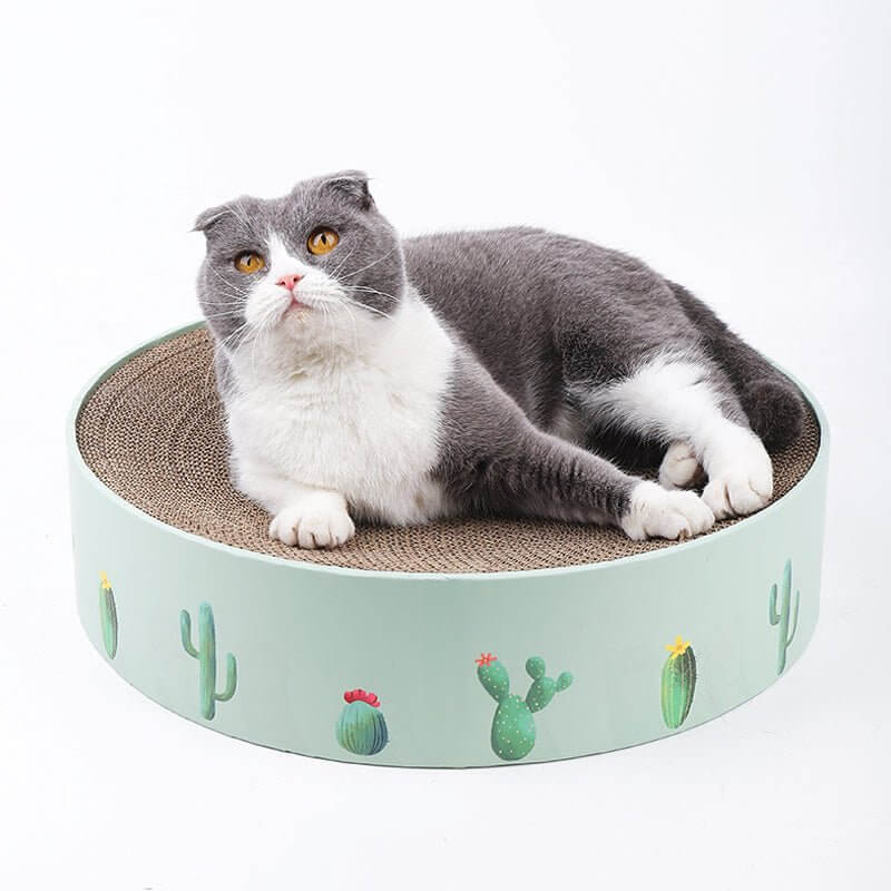 Green Cactus Pattern Cat Paw Scratcher - Happy 4 Paws