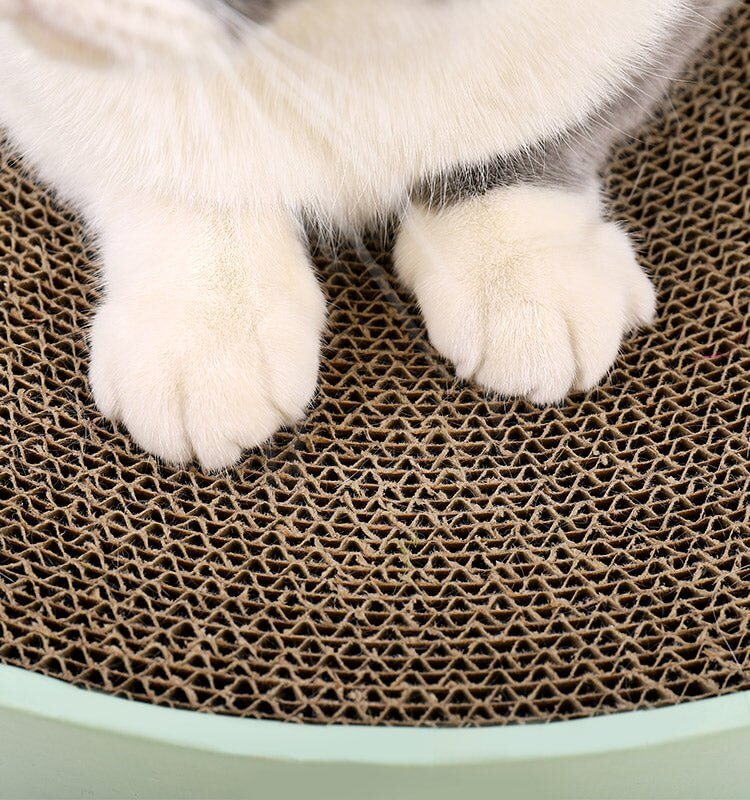 Green Cactus Pattern Cat Paw Scratcher - Happy 4 Paws