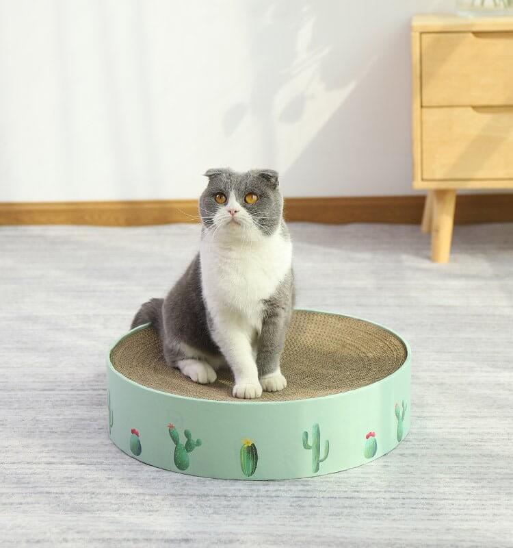 Green Cactus Pattern Cat Paw Scratcher - Happy 4 Paws