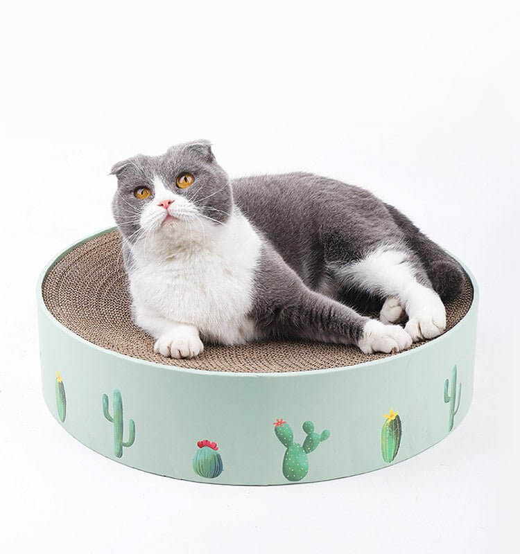 Green Cactus Pattern Cat Paw Scratcher - Happy 4 Paws