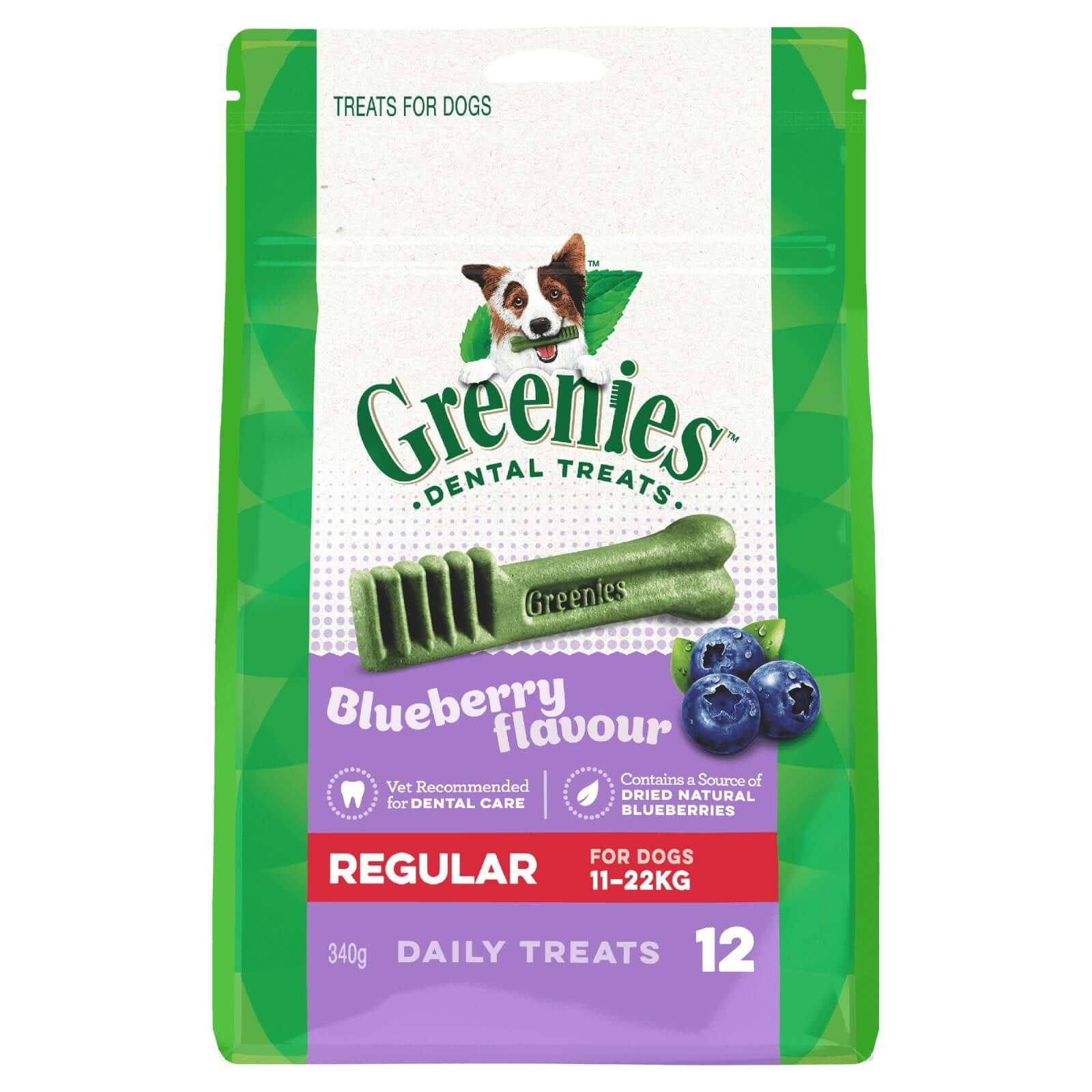 Greenies Dog Treat Blueberry Regular 340g - Happy 4 Paws