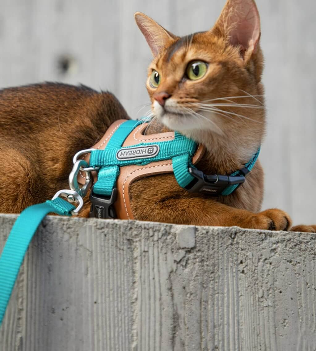 HiDREAM Cat Harness & Leash Set Adjustable Breathable Vest with Reflective Design - Happy 4 Paws