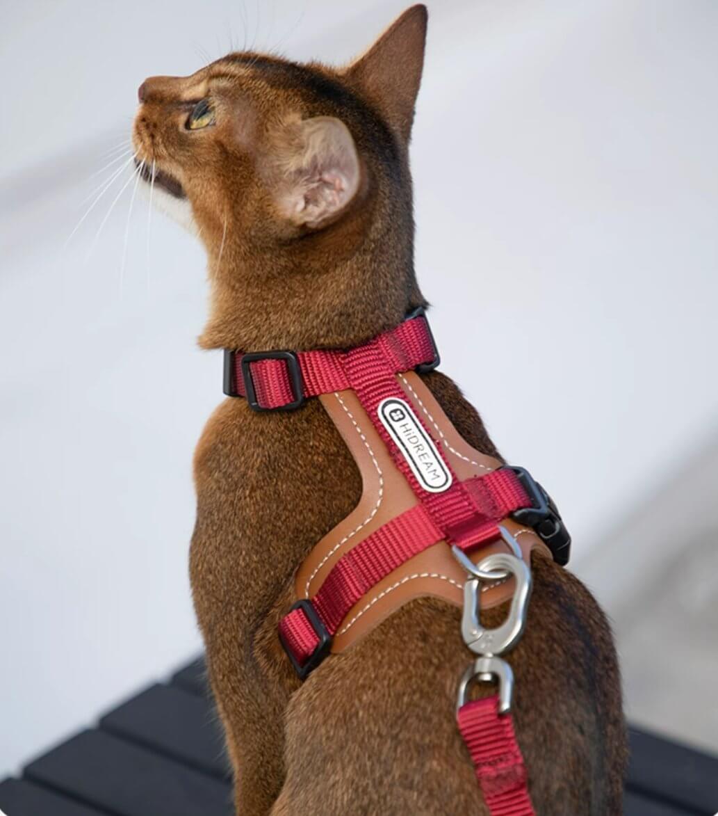 HiDREAM Cat Harness & Leash Set Adjustable Breathable Vest with Reflective Design - Happy 4 Paws