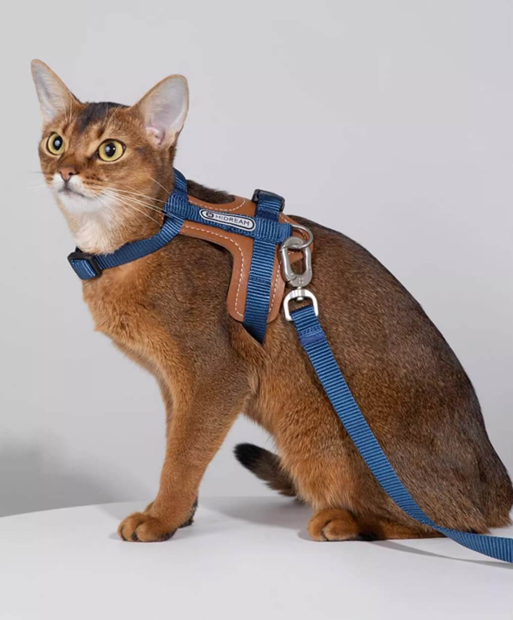 HiDREAM Cat Harness & Leash Set Adjustable Breathable Vest with Reflective Design - Happy 4 Paws