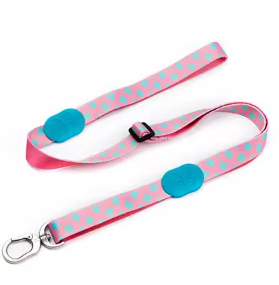 HiDREAM Light & Fashion Multi Styles Nylon Dog Leash for All Size Dogs - Happy 4 Paws