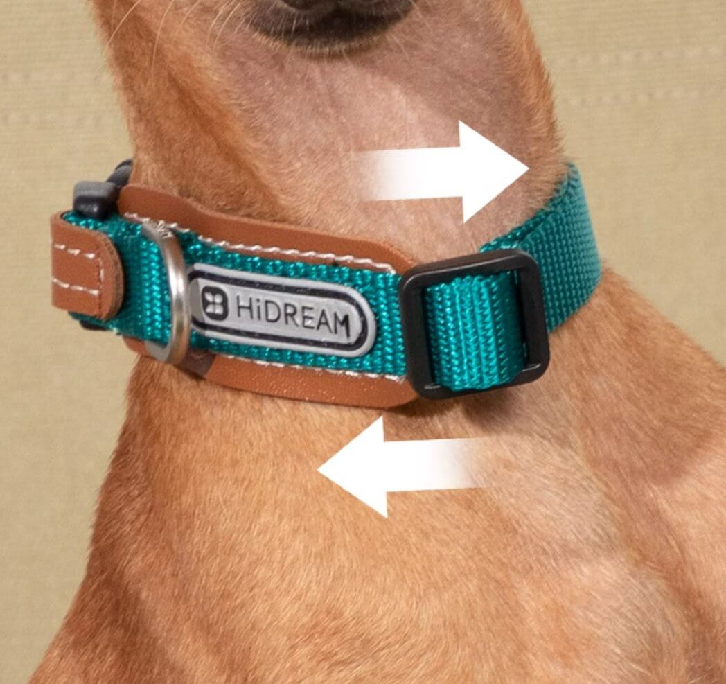 HiDREAM Simple and Durable Multi - functional Nylon Leather Dog Collar for All Size Dogs 40kg - Happy 4 Paws