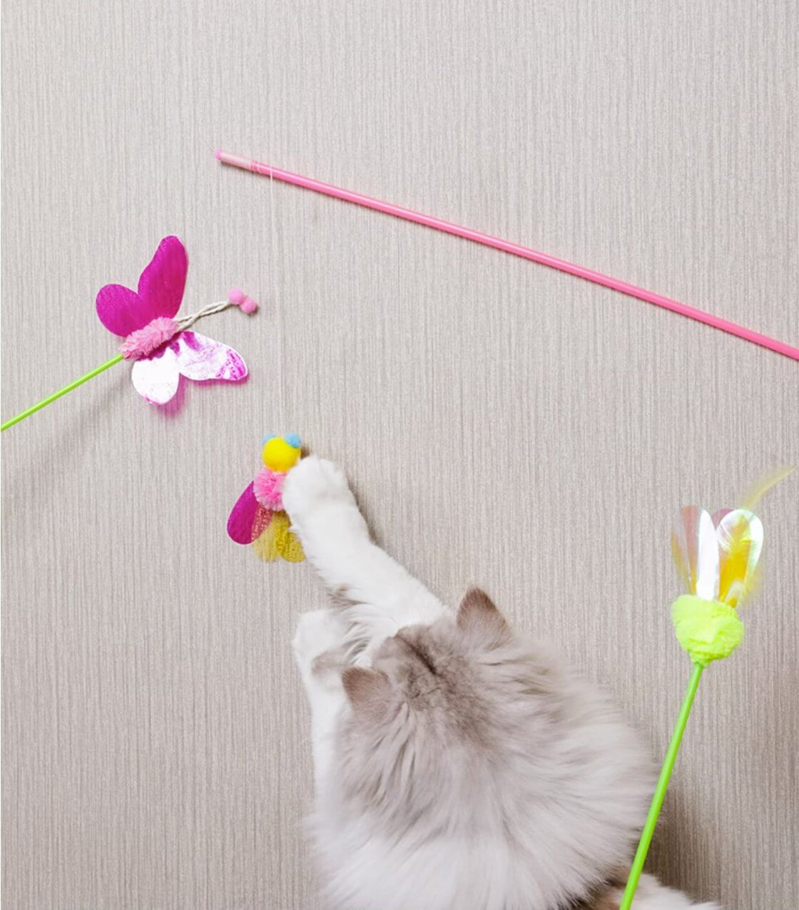 Interactive Cat feather Teaser Wand Toys Multiple Insects - Happy 4 Paws