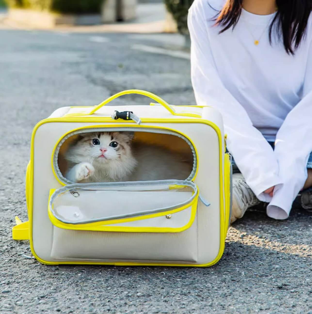 Large Space Pet Carrier Bag Travel Container for Cats Small Dogs - Happy 4 Paws