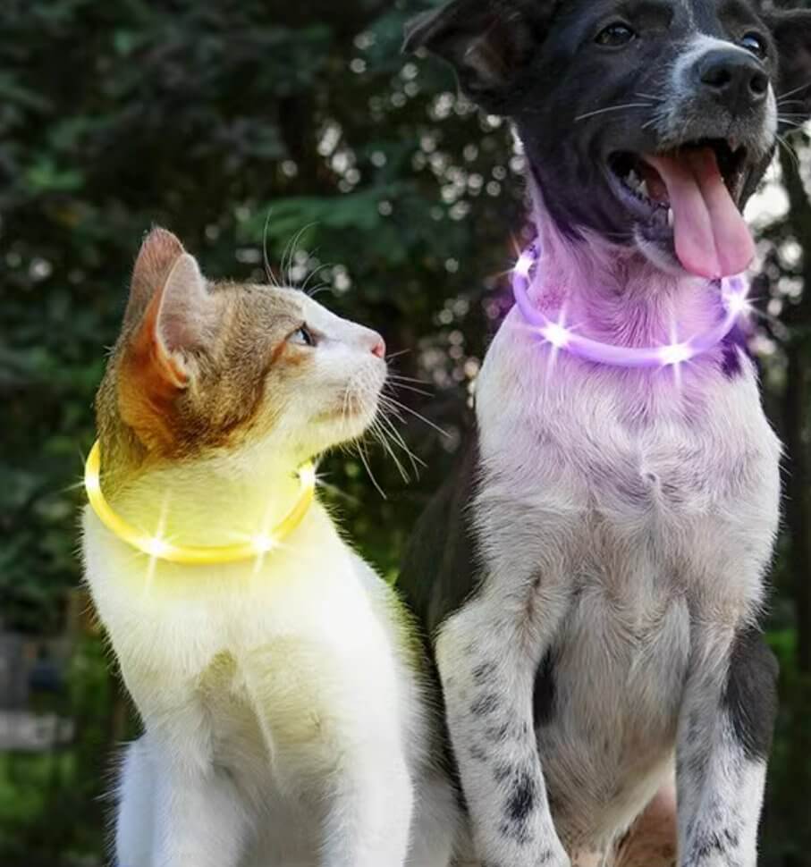 LaRoo Cheese Rechargeable Waterproof Led Light Collar For Small Dogs and Cats - Happy 4 Paws