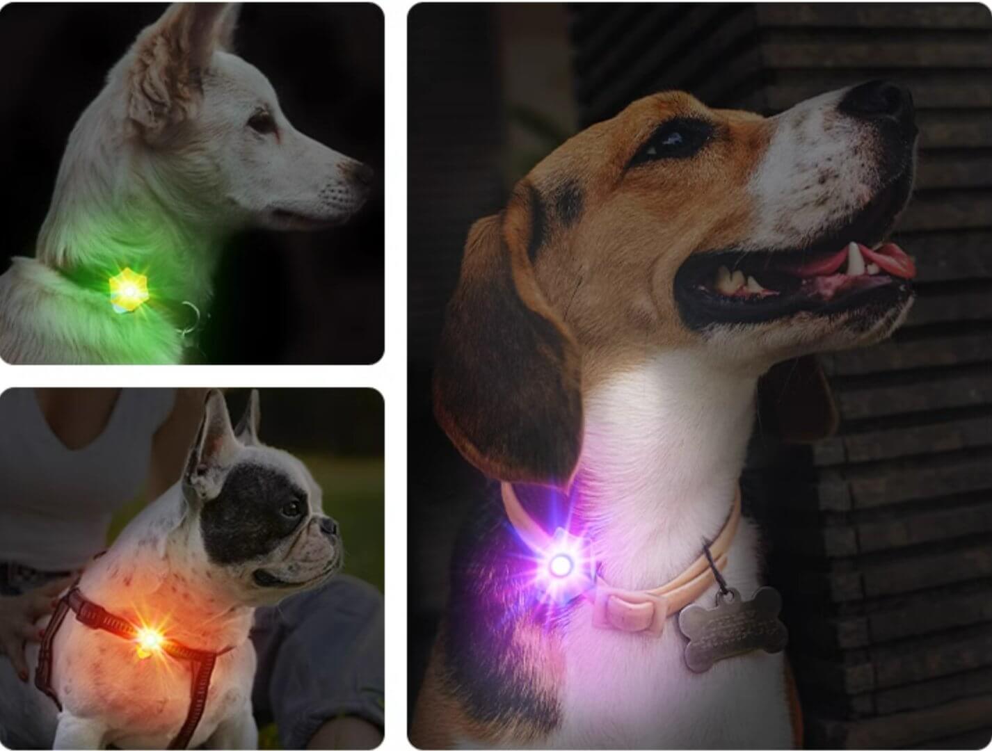 Laroo Clip On Dog Lights Glowing Accessories for Night Walking - Happy 4 Paws