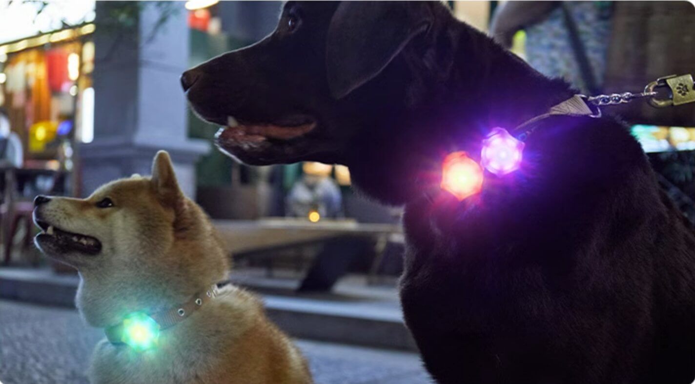 Laroo Clip On Dog Lights Glowing Accessories for Night Walking - Happy 4 Paws