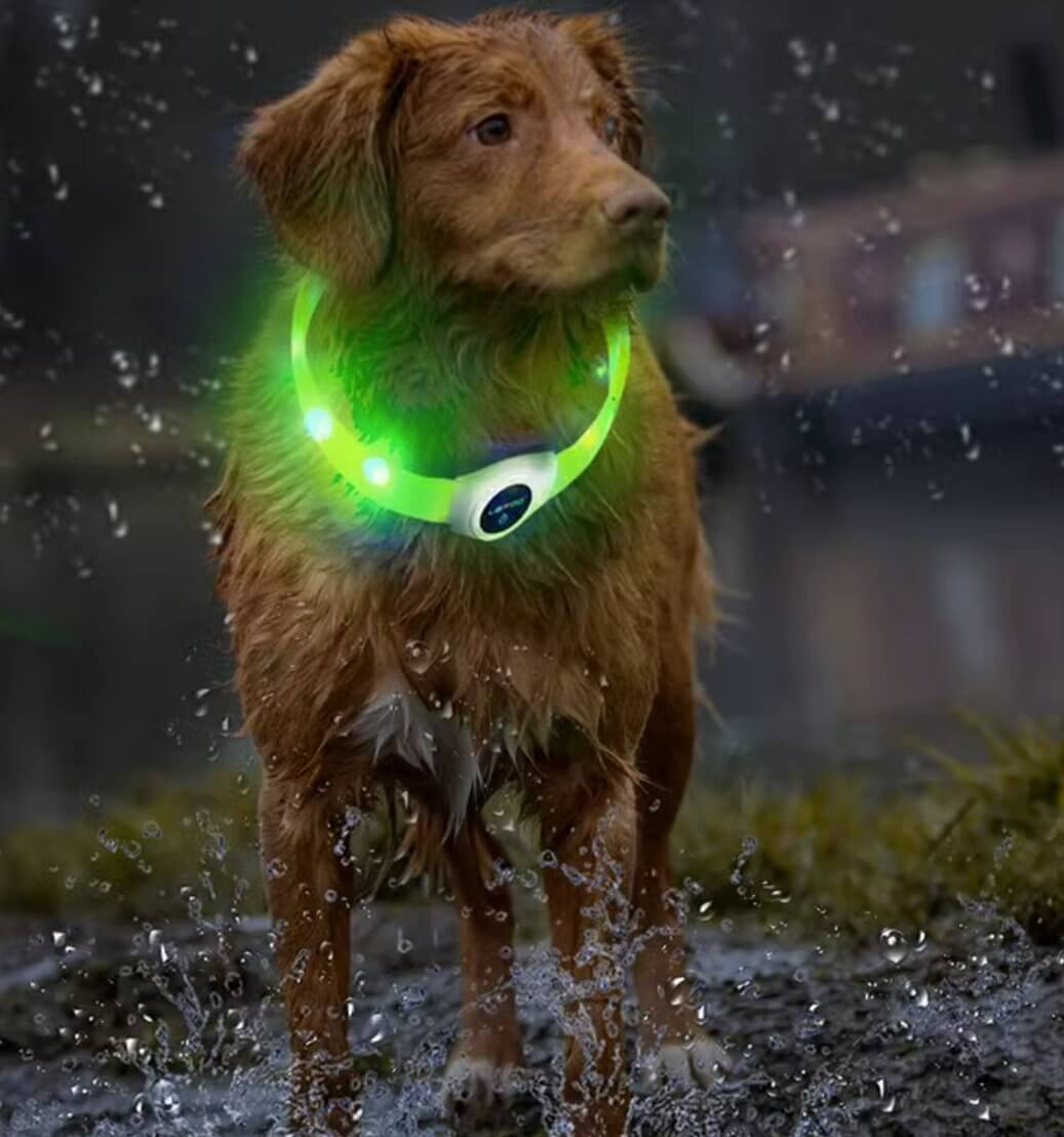 LaRoo Rechargeable Waterproof Led Light Collar For Long - haired Dogs - Happy 4 Paws