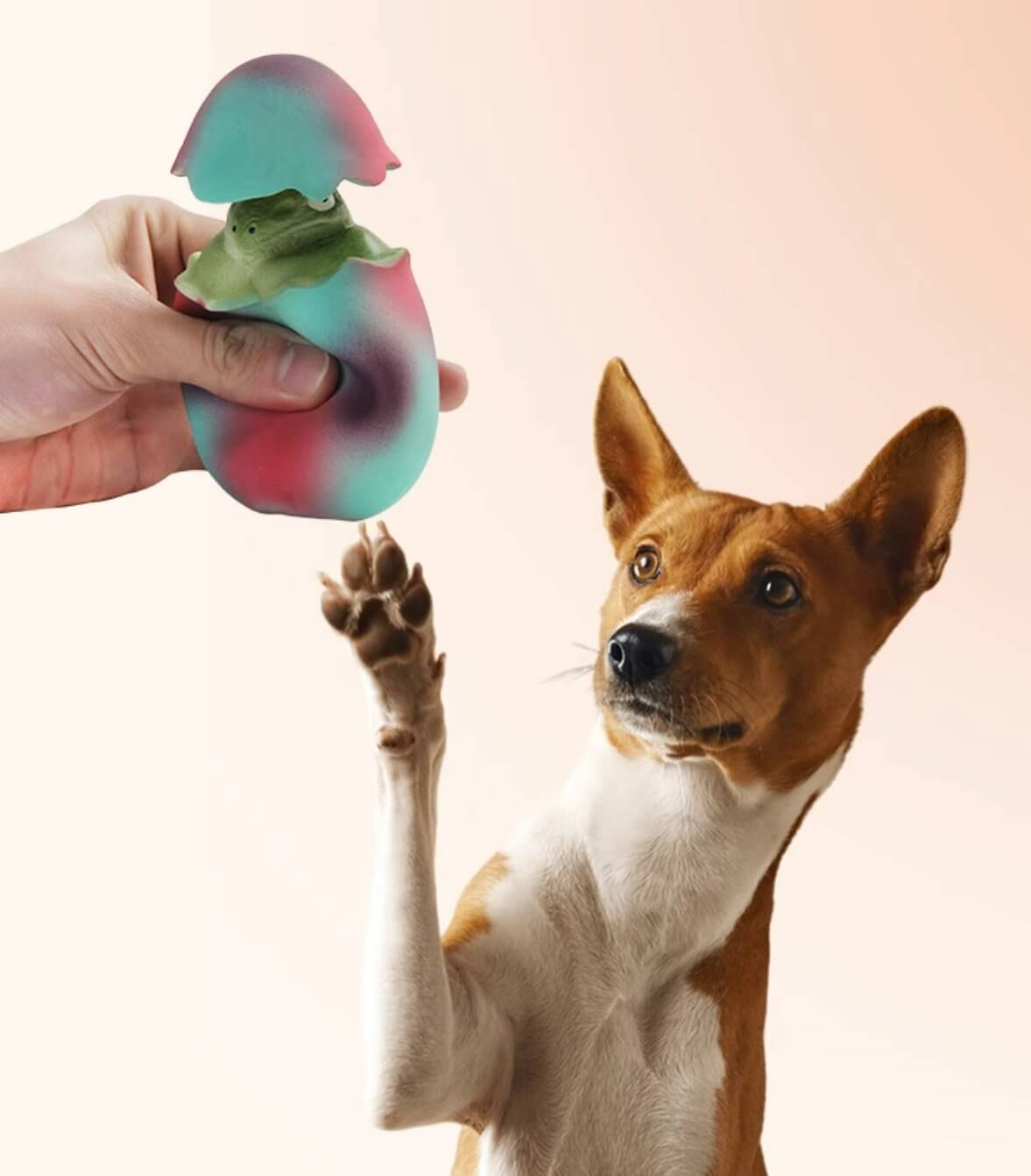 Latex Dog Squeaking Chew Toys with Dinosaur Inside Egg for Small Medium Dogs - Happy 4 Paws