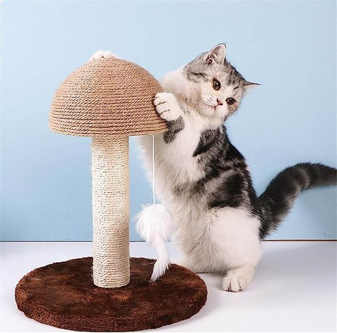 Mushroom Sisal Rope Cat Scratching Tree with Hanging Mouse Toy - Happy 4 Paws