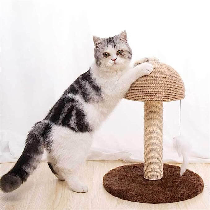 Mushroom Sisal Rope Cat Scratching Tree with Hanging Mouse Toy - Happy 4 Paws