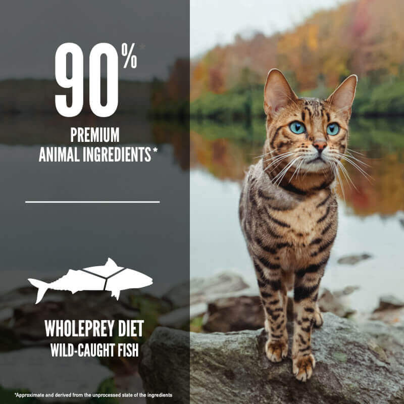 ORIJEN Six Fish Biologically Appropriate Dry Cat Food 5.45kg - Happy 4 Paws