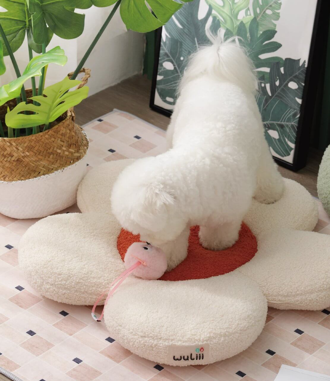 Pet Bed Flower Shaped Soft Plush Cat Dog Cushion Two Forms - Happy 4 Paws