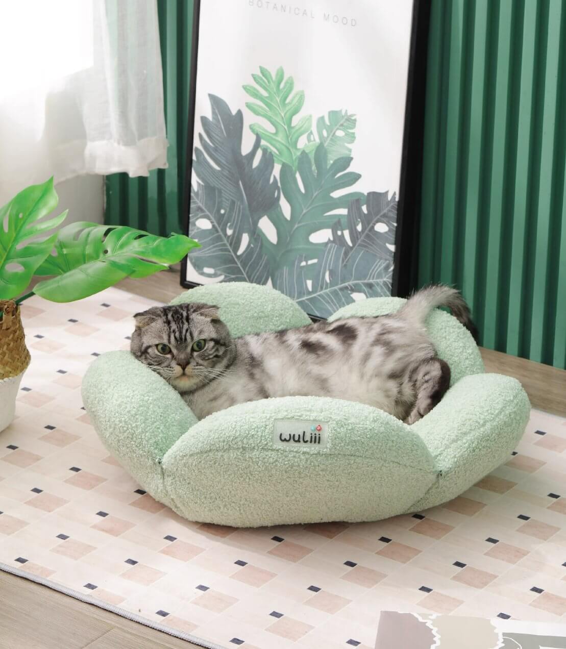 Pet Bed Flower Shaped Soft Plush Cat Dog Cushion Two Forms - Happy 4 Paws