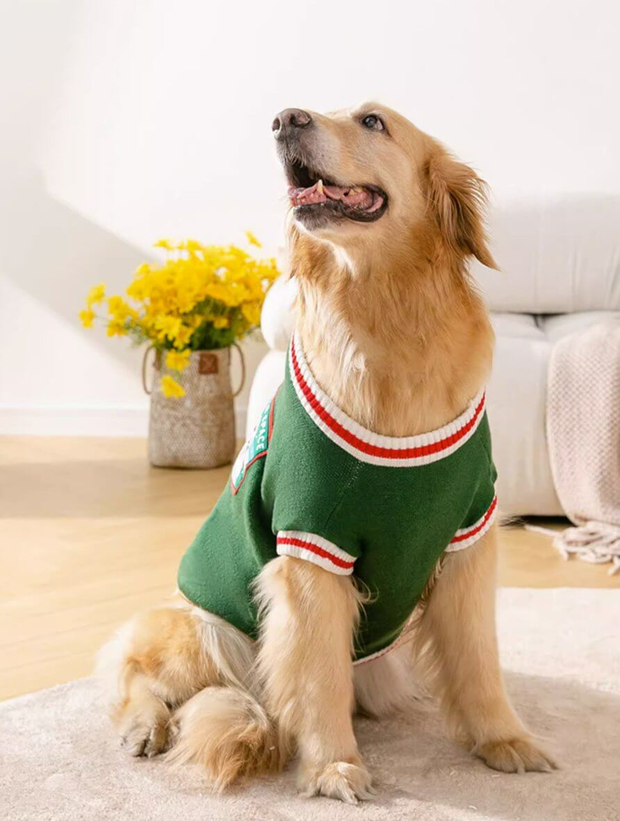 Pet Knitwear Pullover Sweater for Medium Large Size Dogs - Happy 4 Paws