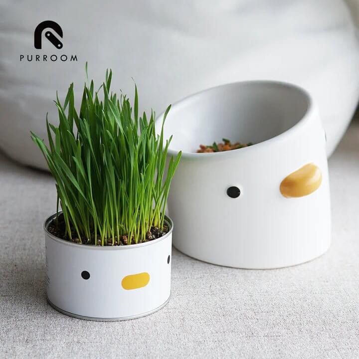 PURROOM Cat Grass - Chick - Happy 4 Paws