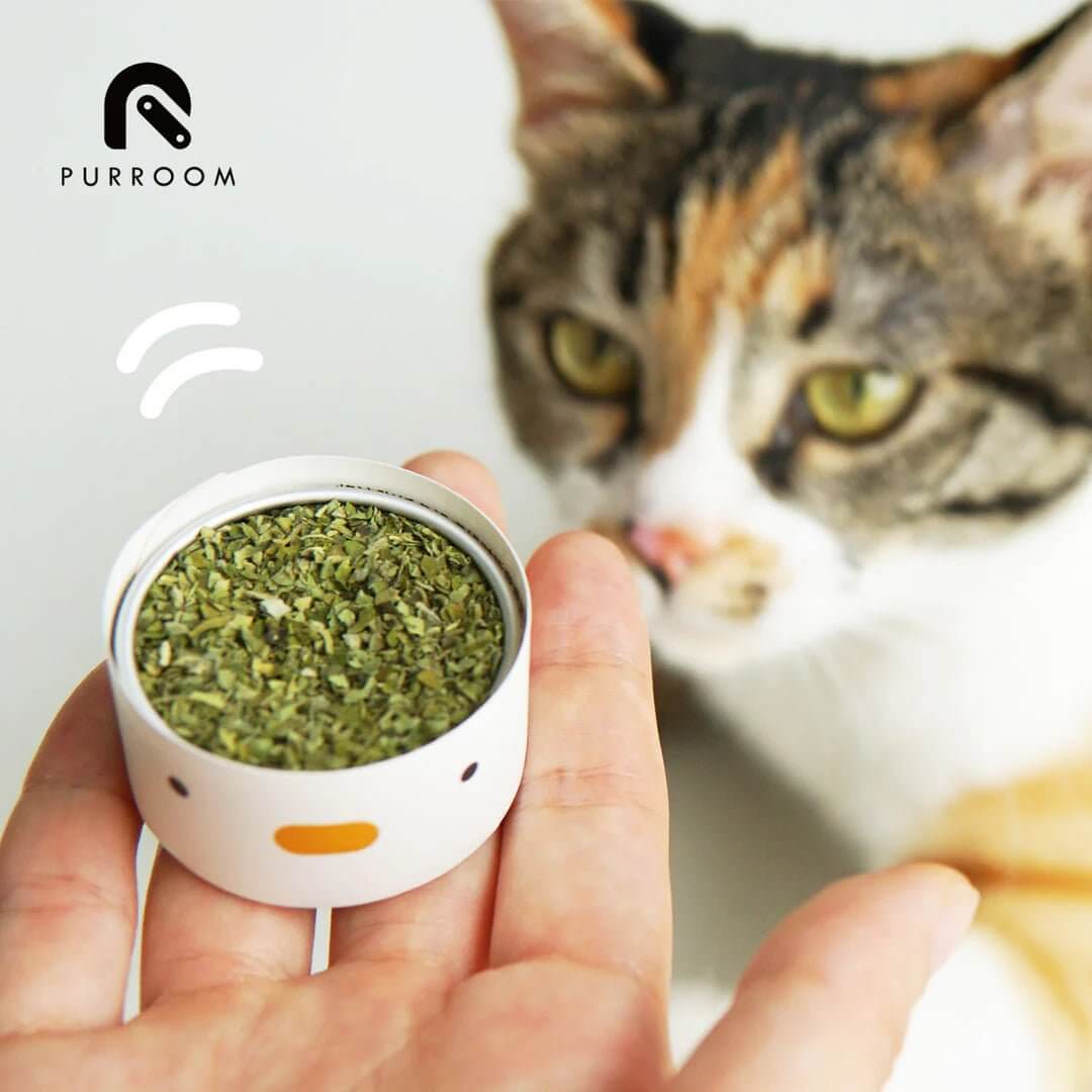 PURROOM Dried Natural Catnip 3G - Happy 4 Paws