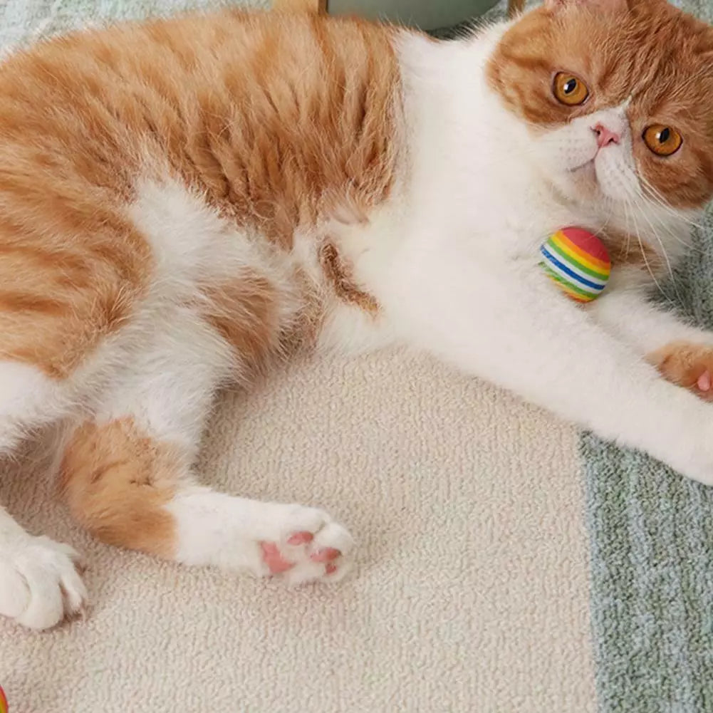 Foam Rainbow Ball for Cats and Dogs - Lightweight, Fun Play Toy