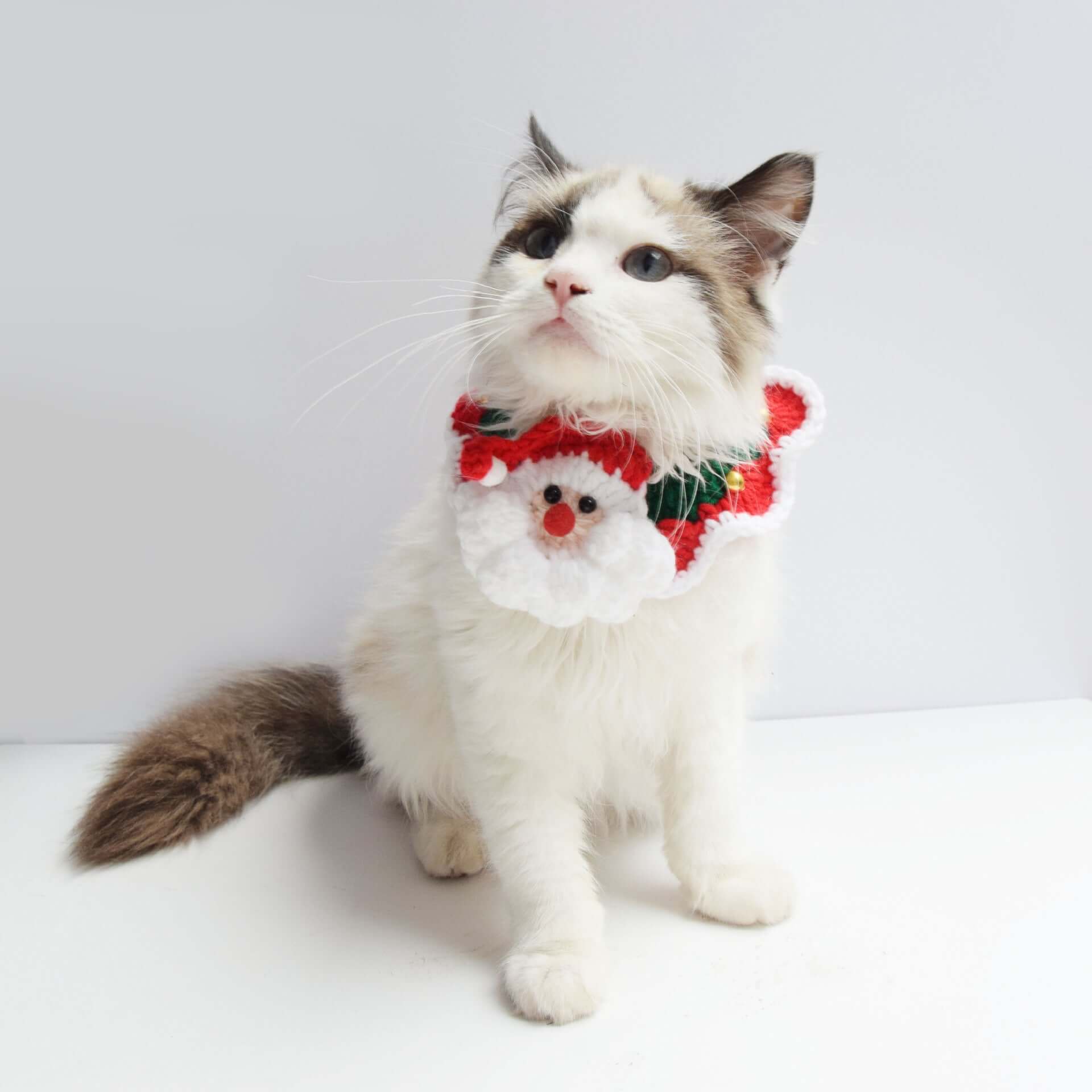 Santa Claus Pattern Handmade Knitted Pet Christmas Collar for Dog Cat - Happy 4 Paws