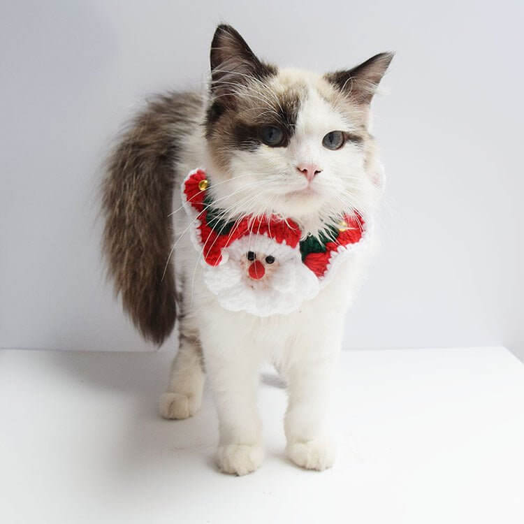 Santa Claus Pattern Handmade Knitted Pet Christmas Collar for Dog Cat - Happy 4 Paws