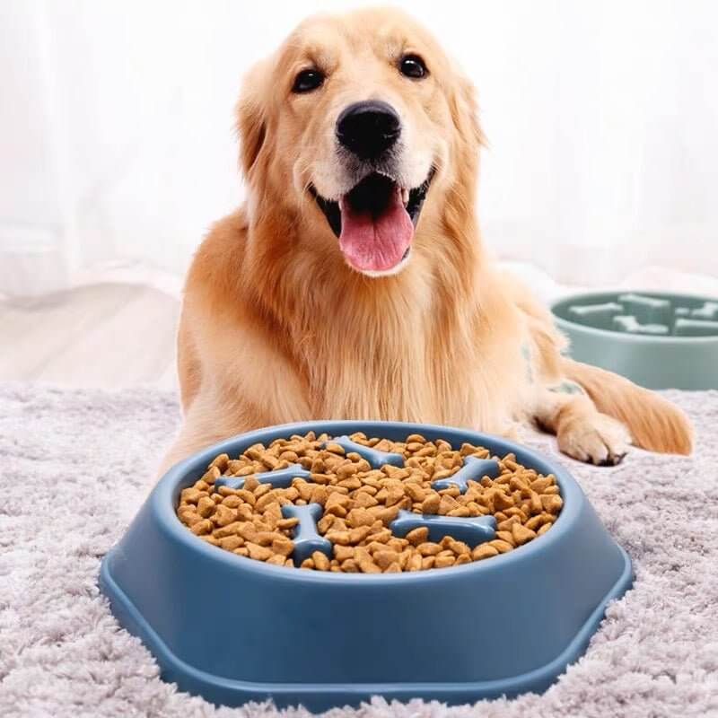 Slow Feeder Dog Food Bowl Bone Pattern Puzzle Pan - Happy 4 Paws