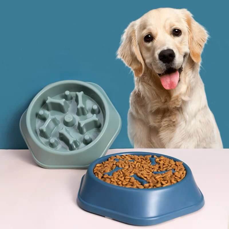 Slow Feeder Dog Food Bowl Bone Pattern Puzzle Pan - Happy 4 Paws