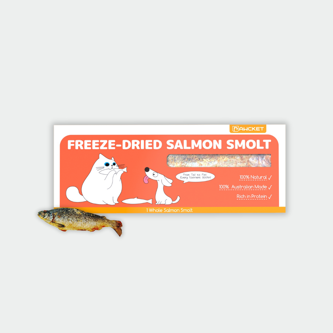 Pawcket Freeze-Dried Salmon Smolt - Raw Cat & Dog Treats